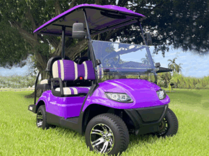 golf cart maintenance, cabo san lucas golf cart service